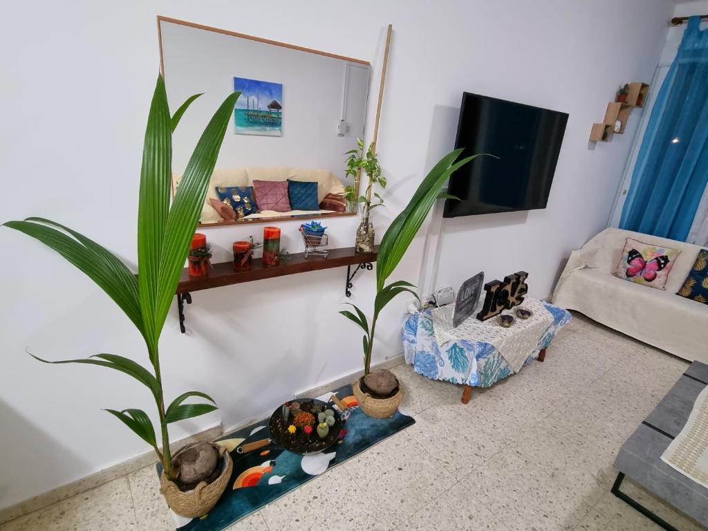 Buenaventura Cosy Apartment kato Paphos في Paphos: غرفة معيشة بها أريكة وزرع