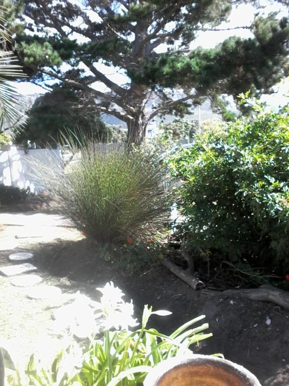 Κήπος έξω από το Self Catering Unit 6, Sandbaai
