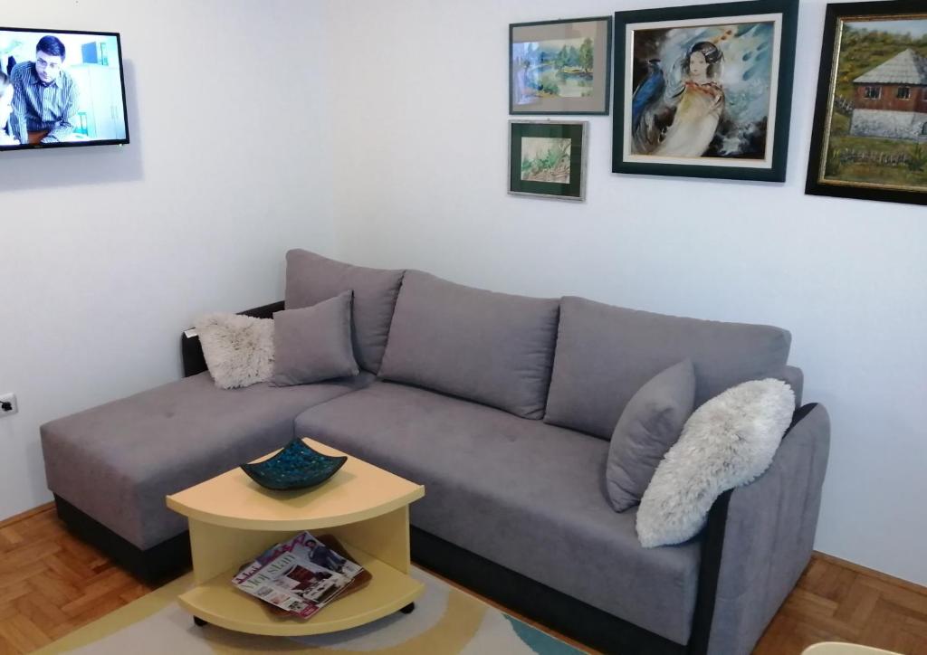 sala de estar con sofá gris y cuadros en la pared en SRNA APARTMAN, en Vrnjačka Banja
