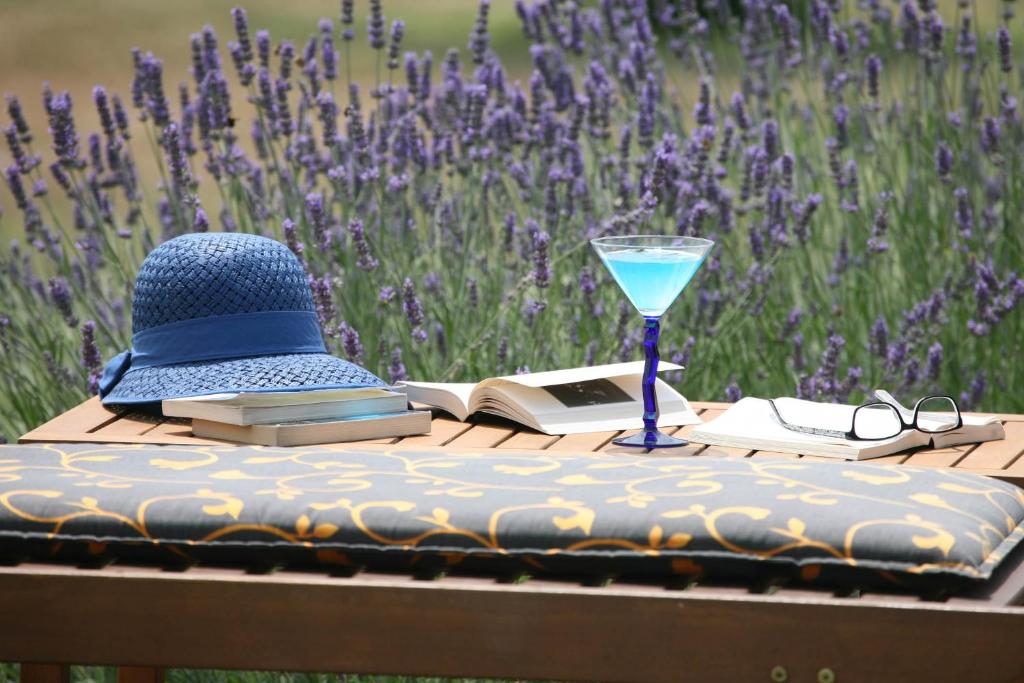 Beach houses IVE & BETA with pool & jacuzzi in a olive grove, Pomer - Istria - 四居室度假屋