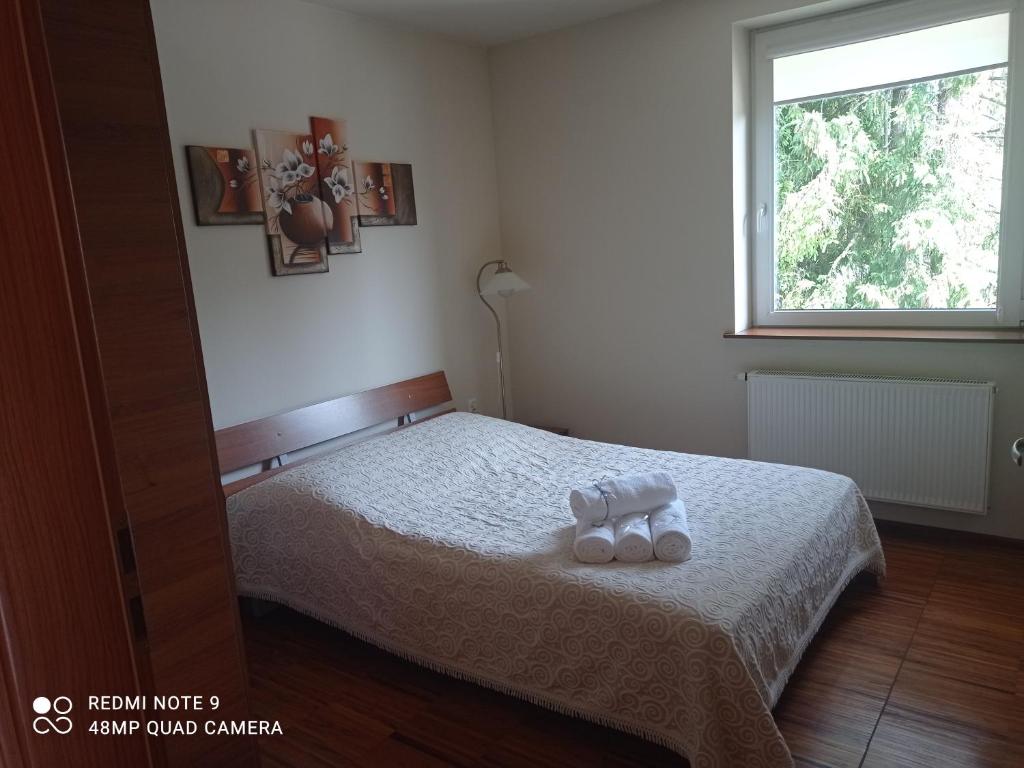 Posteľ alebo postele v izbe v ubytovaní Zawoja1560 Apartamenty przy Aptece