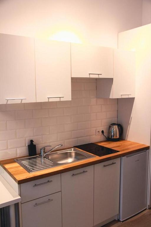Kuchyňa alebo kuchynka v ubytovaní Apartament Kattowitz