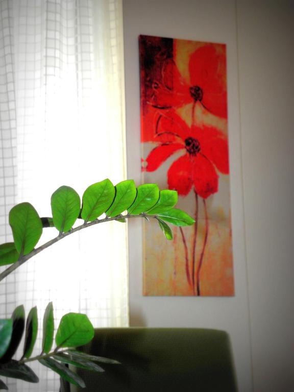 Fotografie z fotogalerie ubytování Hotel Petros v destinaci Tsilivi
