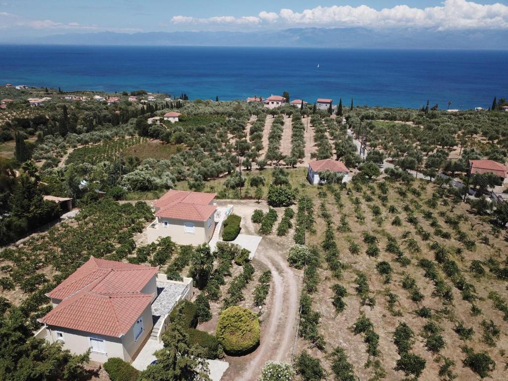 an aerial view of a house with trees and the ocean at ORFANOS 3 in Armenoí