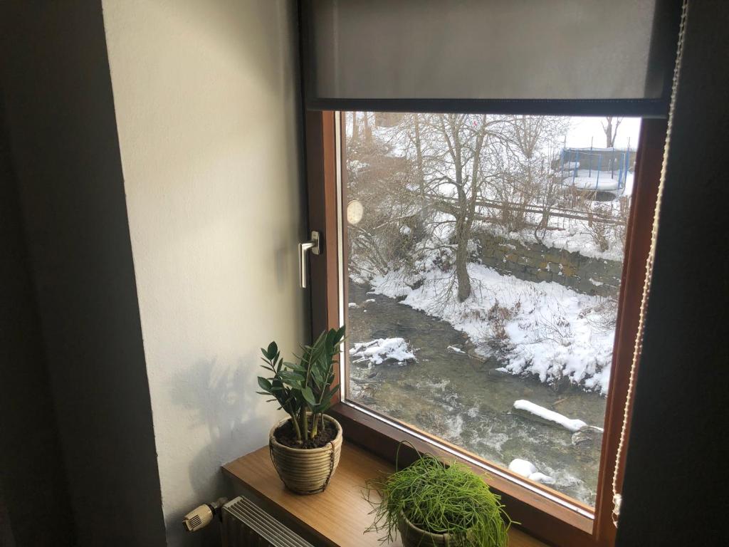 Aparthaus-Kiebitz - 10