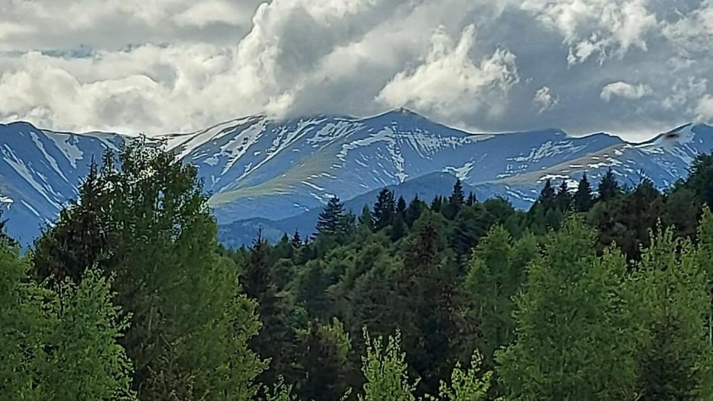 Afbeelding uit fotogalerij van CASA DINCA in Cîmpu lui Neag