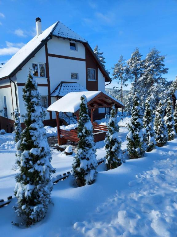 Apartmani Borova Iglica Divčibare v zimě