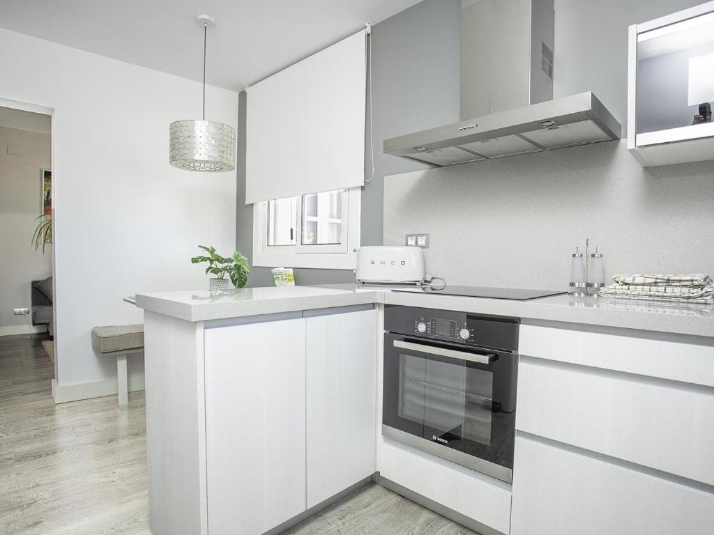 Kuchyň nebo kuchyňský kout v ubytování Sitges Spaces Bonaire Penthouse