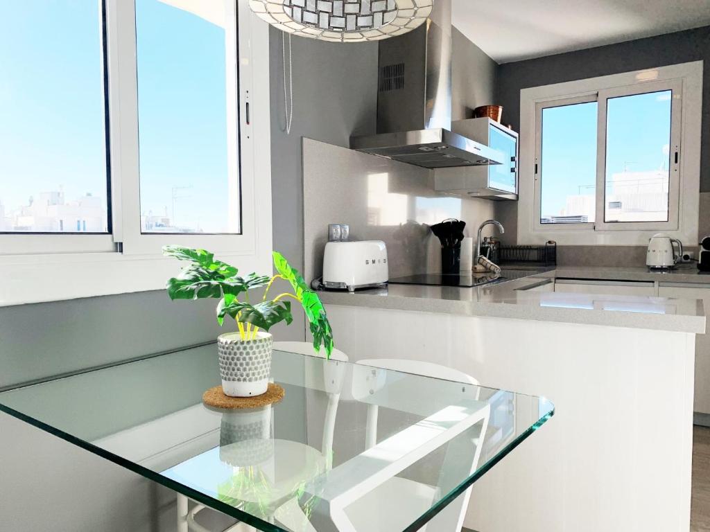 Kuchyň nebo kuchyňský kout v ubytování Sitges Spaces Bonaire Penthouse