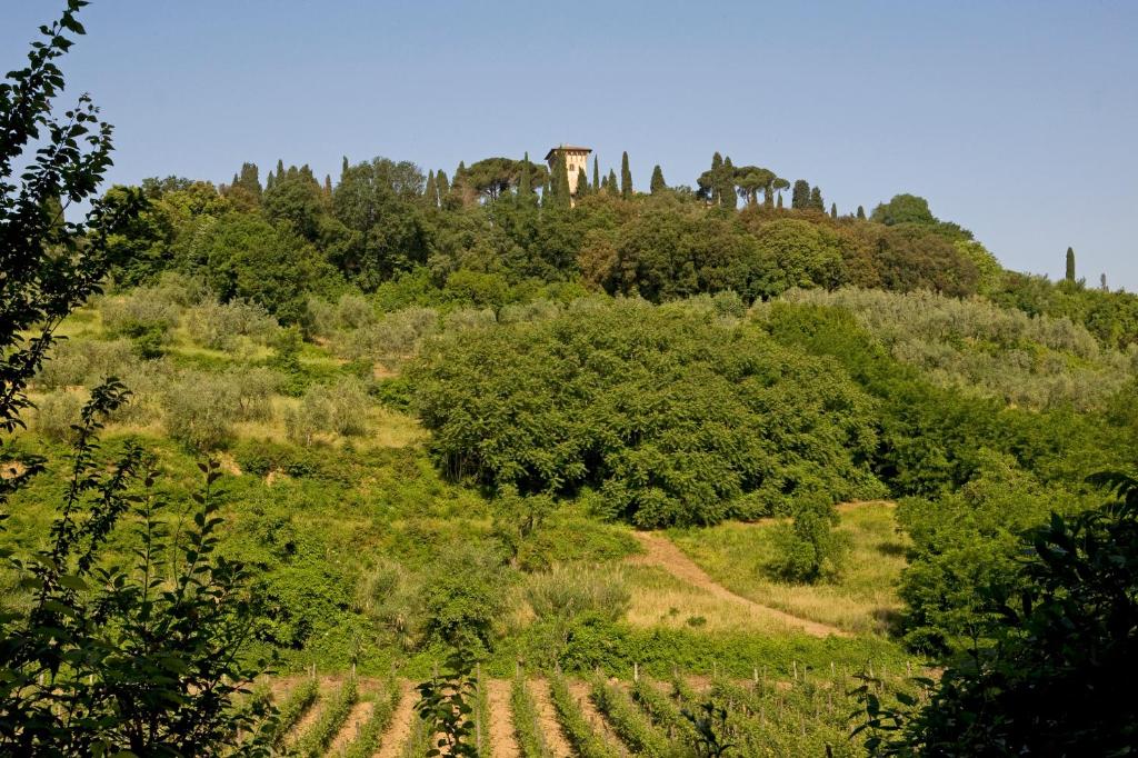 Hotel Torre di Bellosguardo - Resim 39