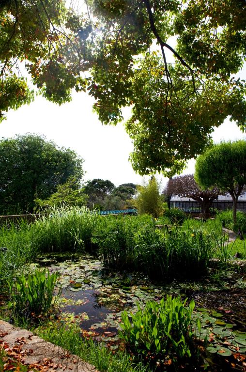 Hotel Torre di Bellosguardo - Resim 45