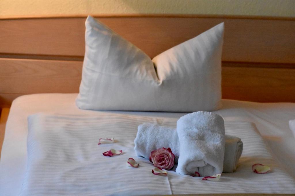 Hotel Trebeltal - Suite