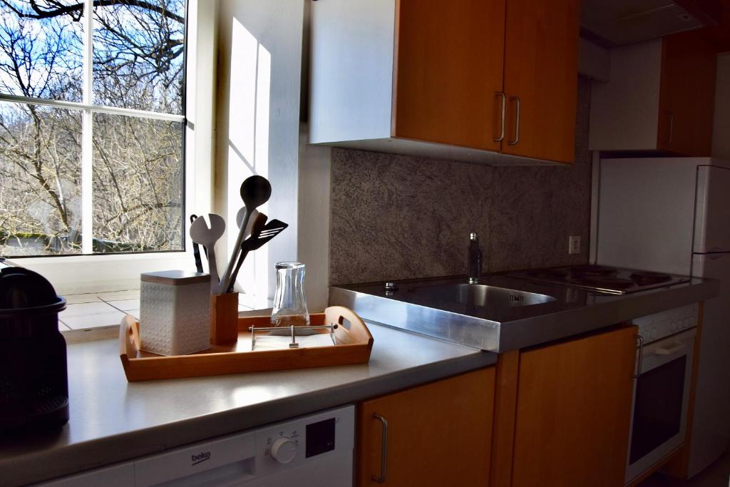 Kuchyň nebo kuchyňský kout v ubytování Golf-Appartement