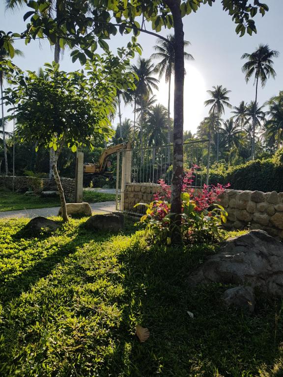Zahrada ubytování Pentaqua -Dineros Guest House