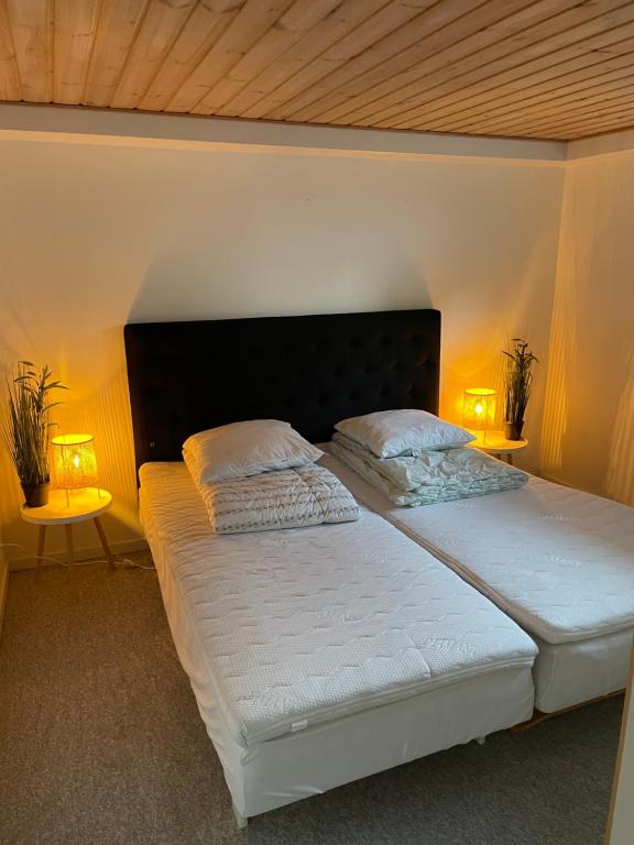 Nice and cosy apartment Aalborg