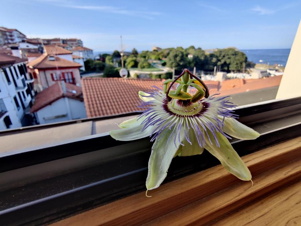 Kép Apartamentos Mundaka Surf Camp szállásáról Mundakában a galériában