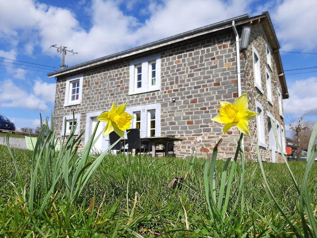 duas flores amarelas na relva em frente a uma casa de tijolos em Le Clos de Rosa em La-Roche-en-Ardenne