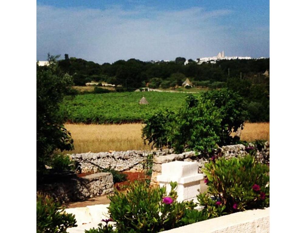 Paesaggio naturale nelle vicinanze del bed & breakfast