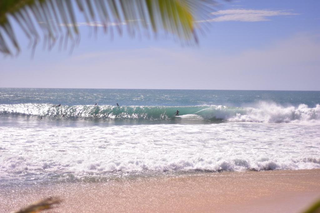 a group of surfers riding a wave in the ocean at The Spice Trail in Arugam Bay