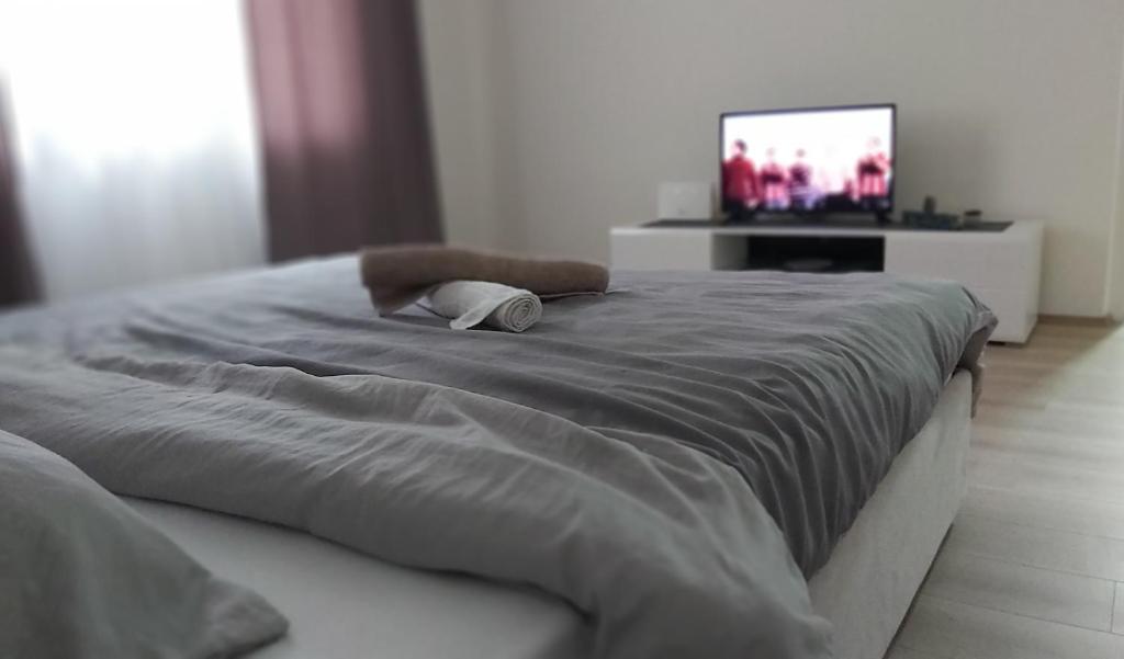 a bedroom with a bed with a television in the background at Apartman Pavlovic in Leskovac