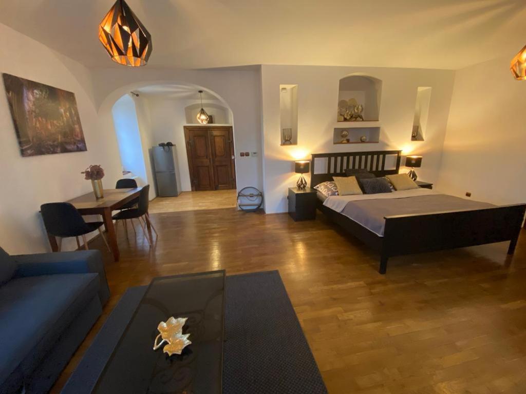 a bedroom with a bed and a living room at Apartmány Vila Lucia 4 in Pilsen