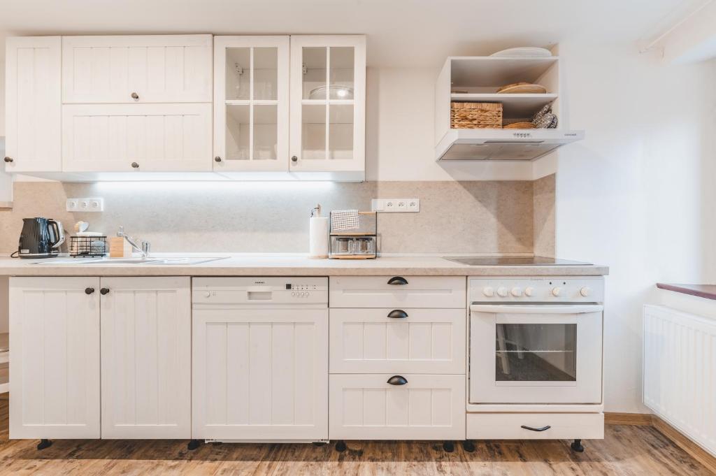 Kuchyň nebo kuchyňský kout v ubytování Konekt Apartment
