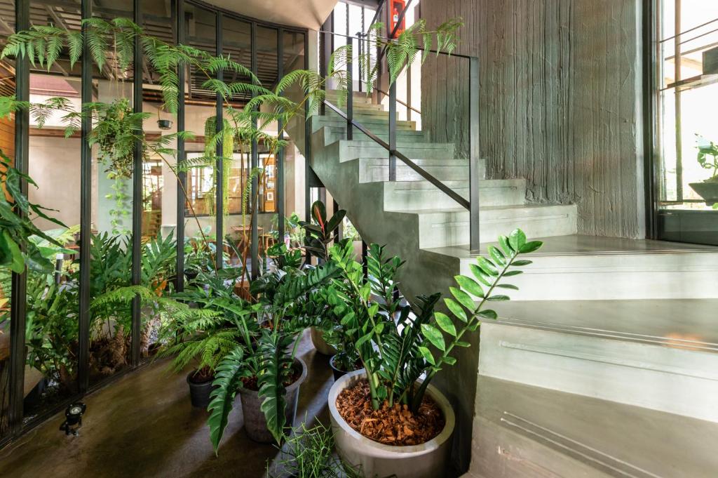 Fotografie z fotogalerie ubytování Tamni v destinaci Bangkok