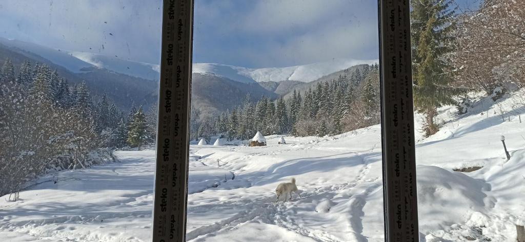 Під Горбком during the winter