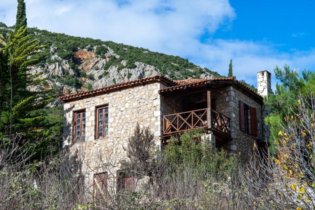 Príroda v okolí vily