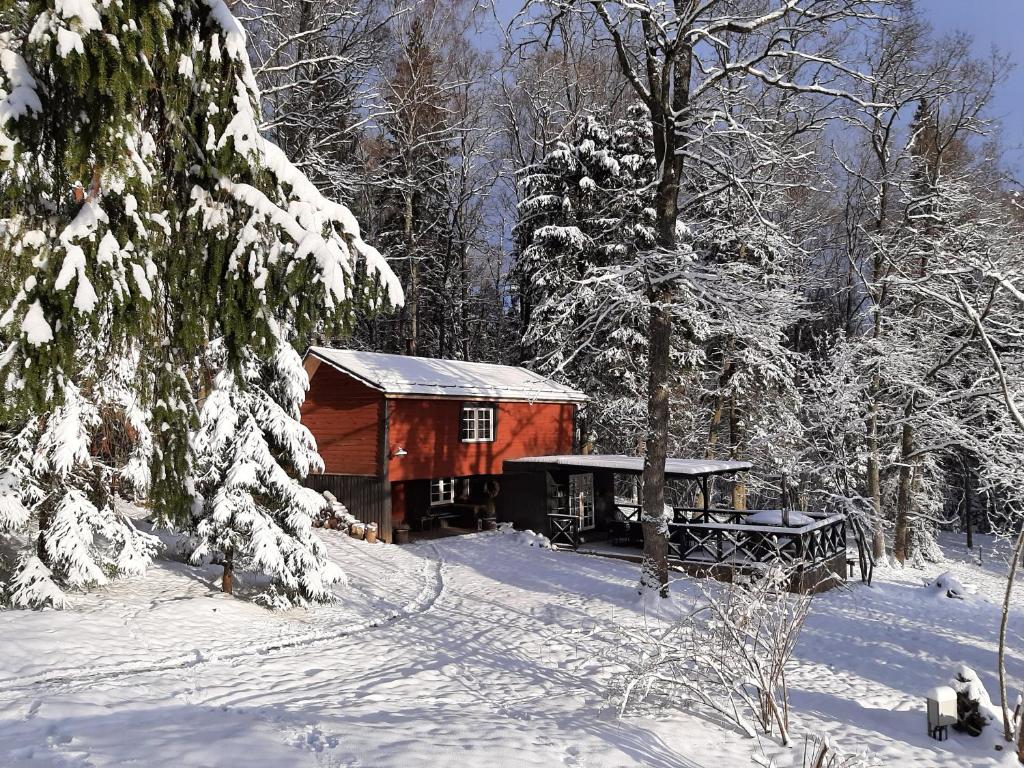 Mošķu Pirts meža māja ziemā