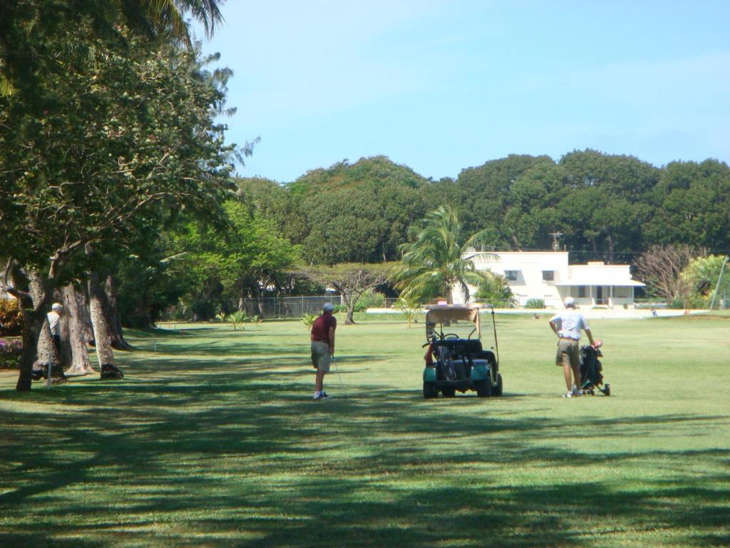 Plum Tree Club photo