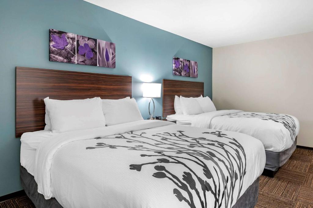 Sleep Inn - 标准的大号床，有两张大床 - 不吸烟