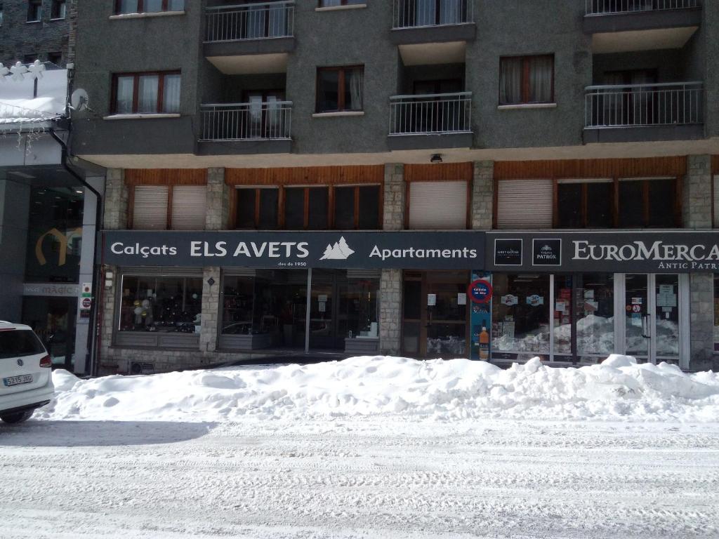 Apartaments Els Avets talvel