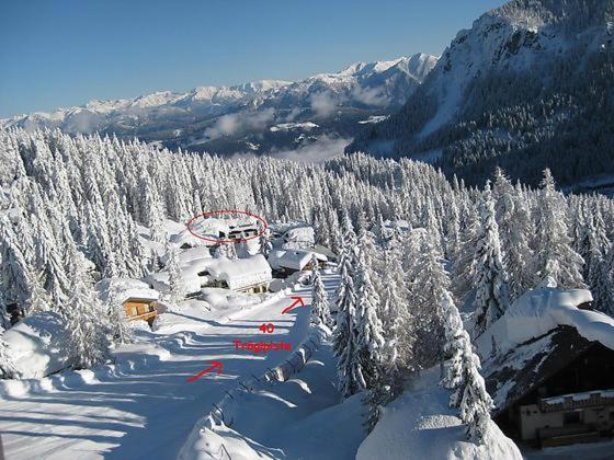 a snow covered mountain with trees and a ski lift at Almhaus Bachmann in Sonnenalpe Nassfeld