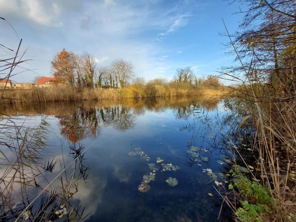 uma vista para um rio com árvores e o céu em El Ático em Potsdam