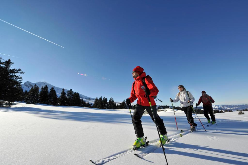 Hosté ubytování Hotel Säntis Lodge