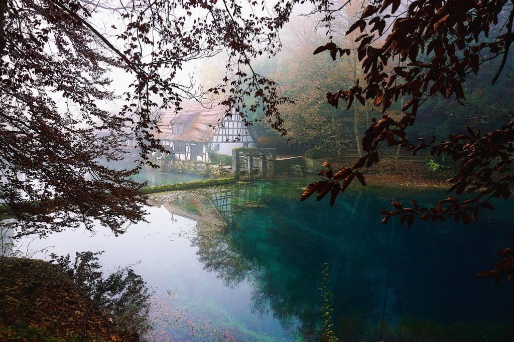 une rivière en face d'une maison et d'un bâtiment dans l'établissement Ferienwohnung Reimann mit kostenloser AlbCard, à Blaubeuren