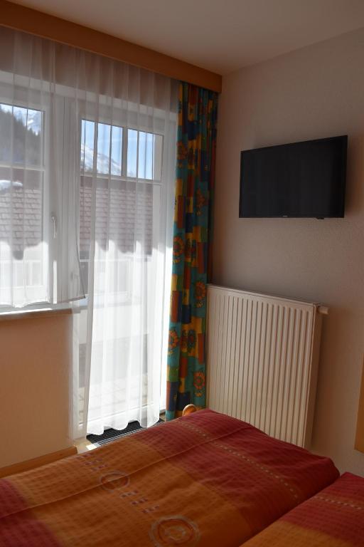 Televízia a/alebo spoločenská miestnosť v ubytovaní Adamsberg