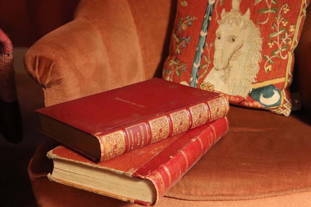 Le grand gîte du Sorcier ! Logement magique – photo 5