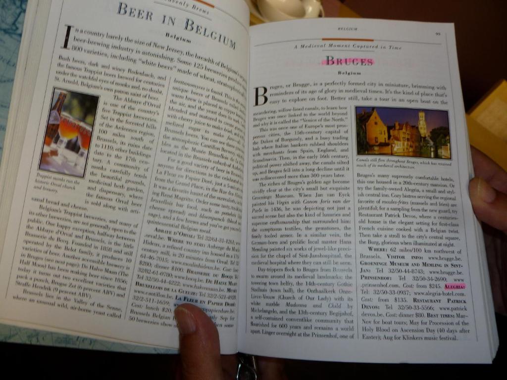 Hotel Alegria - Resim 35