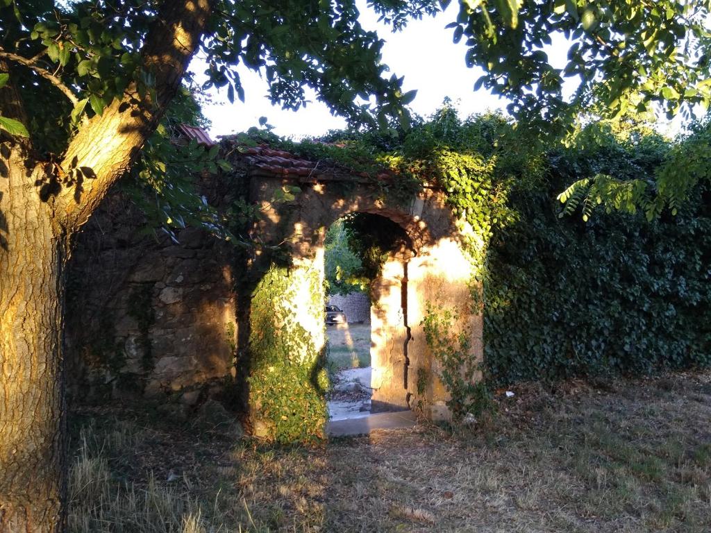 Vonkajšia záhrada v ubytovaní Jankovich Castle