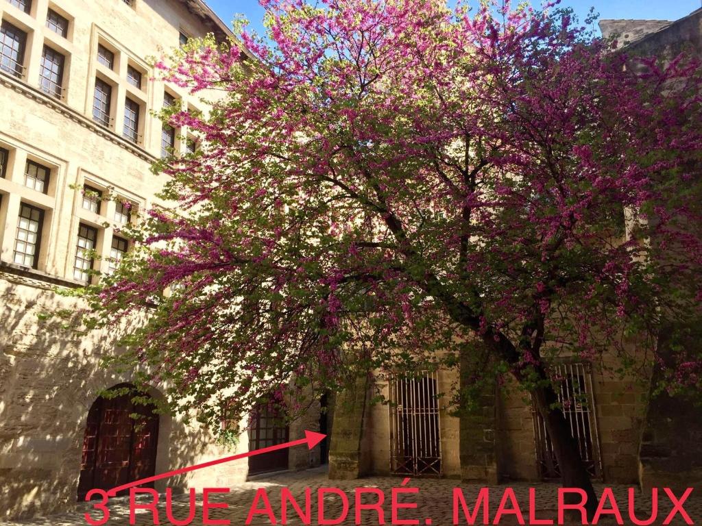 een boom met paarse bloemen voor een gebouw bij appartement a 50 m de la place aux herbes in Uzès