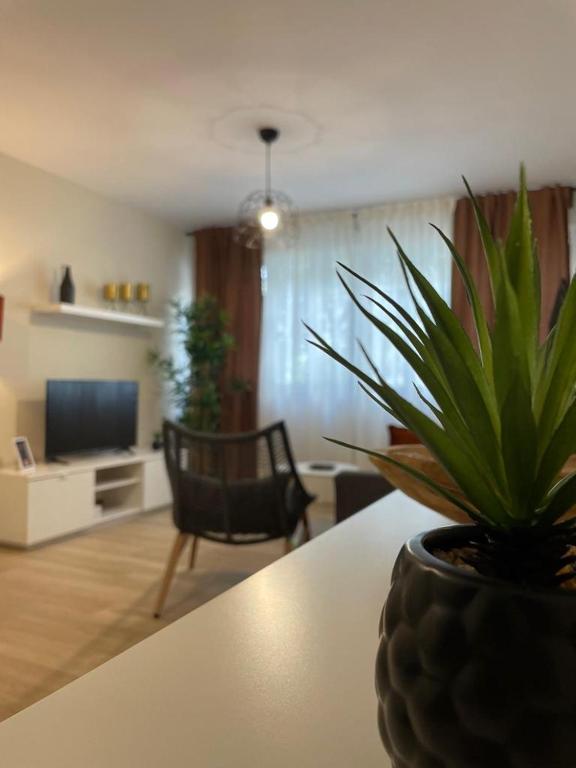 TV a/nebo společenská místnost v ubytování Apartamento Jerez 2022
