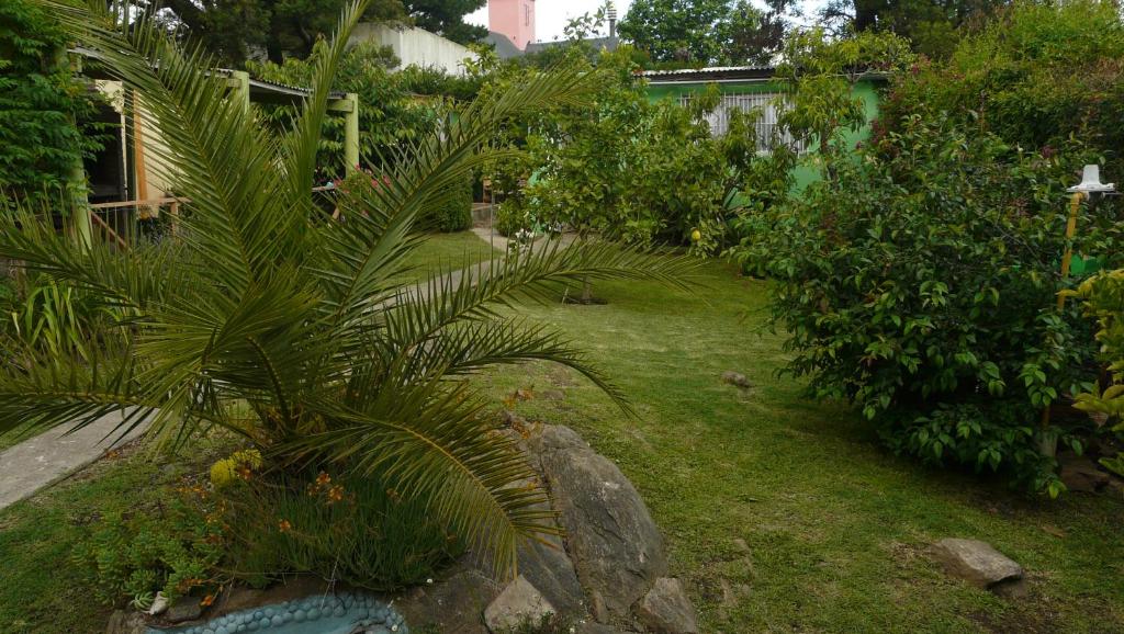 El Jardin de Nora - 一居室房屋