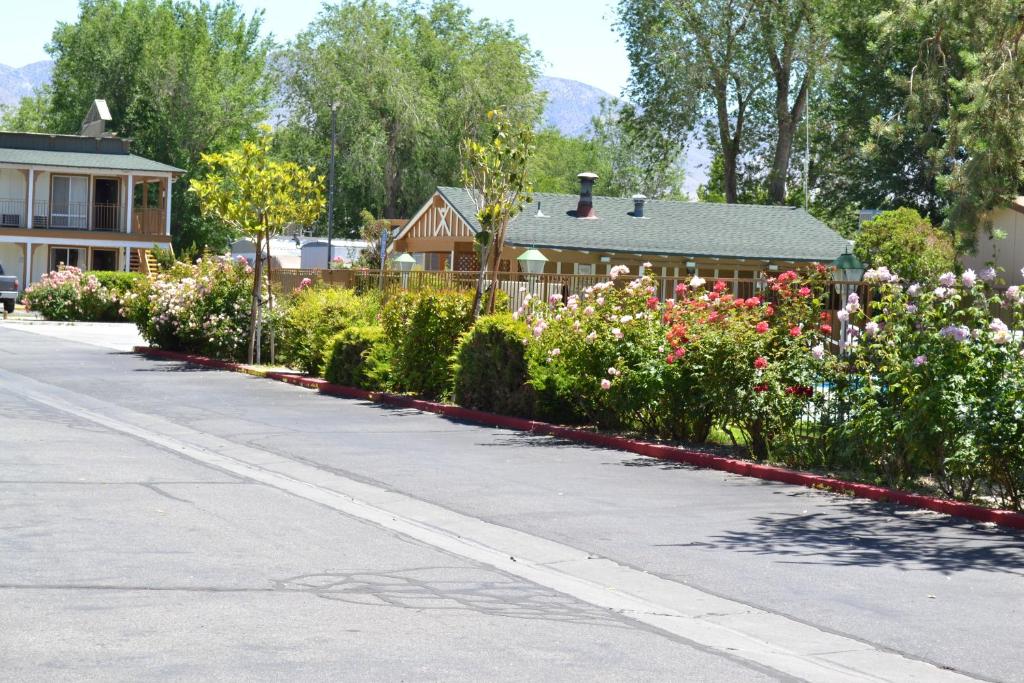 a row of flowers in front of a house at Vagabond Inn Bishop in Bishop