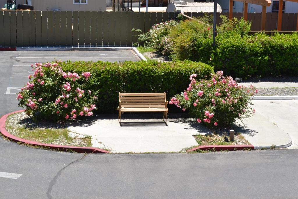 a wooden bench sitting in a parking lot with pink flowers at Vagabond Inn Bishop in Bishop