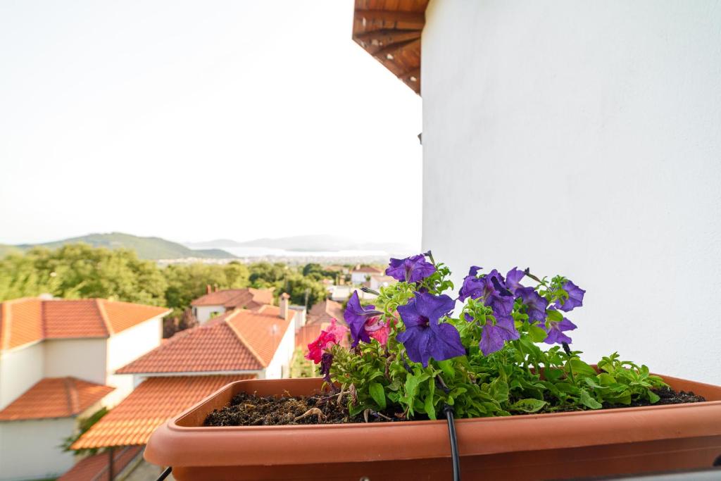 Nespecifikovaný výhled na hory nebo výhled na hory při pohledu z apartmánu