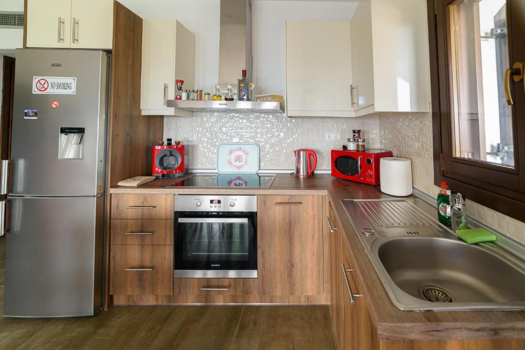 Kuchyň nebo kuchyňský kout v ubytování Mansion Chalatsopoulos