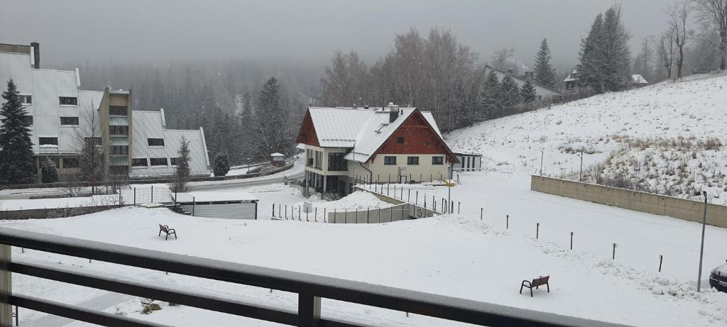 Triventi z widokiem na Śnieżkę v zime