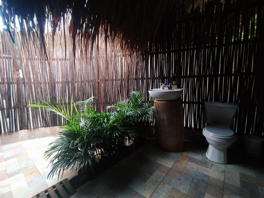 Fotografie z fotogalerie ubytování Centro Ubuntu v destinaci Isla Grande